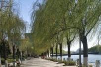 水清、岸绿、景美！杭州上万块河道标识系统效果图抢先看