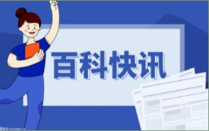 打印企业征信报告需要带什么资料？企业征信在哪里查询？